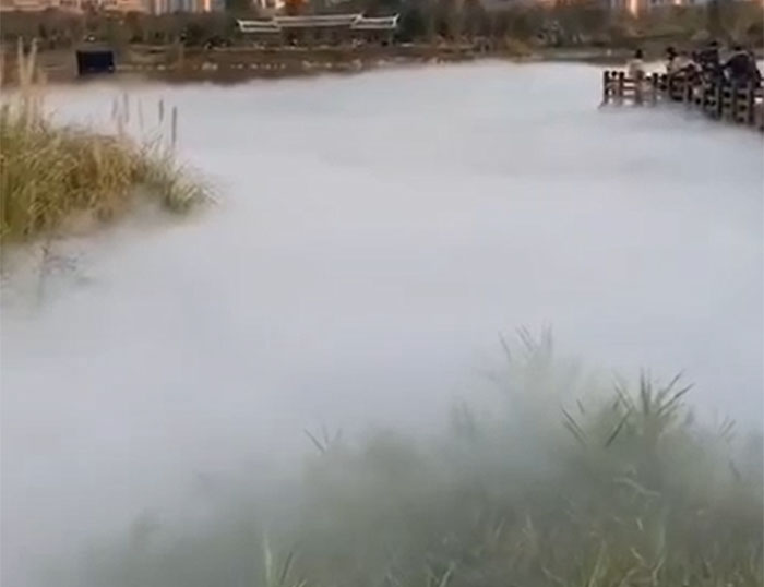 雾森冷雾